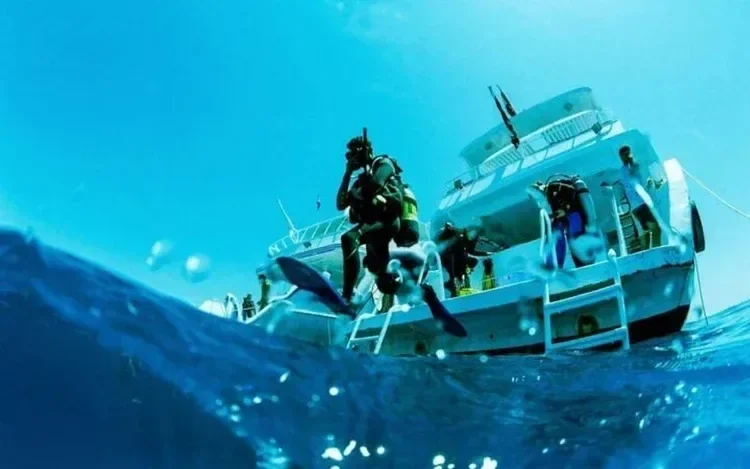 Split-level shot of a diver descending a dive boat's ladder into the sea, with the boat and other divers visible above the waterline.