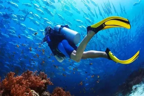 PADI Deep Diver