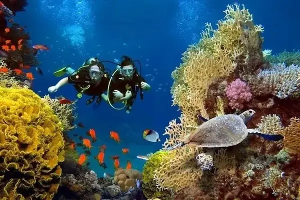PADI Dry Suit Diver photo 2