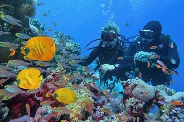 PADI Dry Suit Diver photo 4