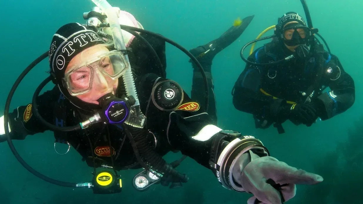 PADI Dry Suit Diver - photo 4