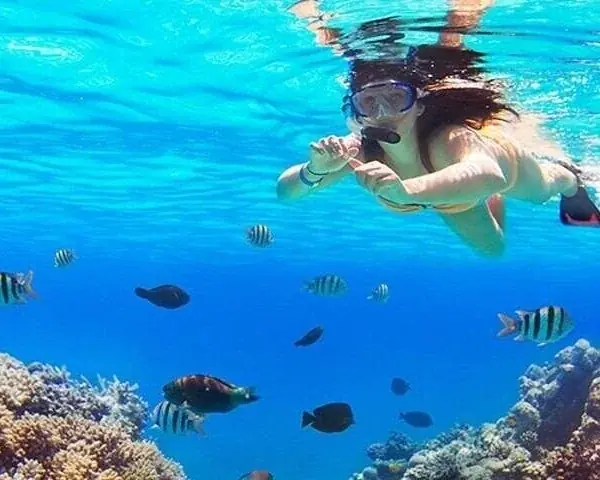 PADI Junior Open Water photo 2