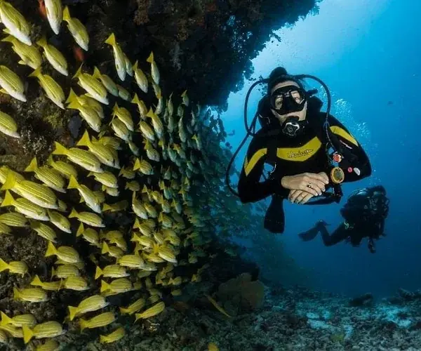 PADI Nitrox Diver