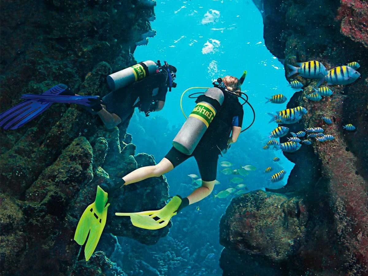 PADI Nitrox Diver in Hurghada — view 4