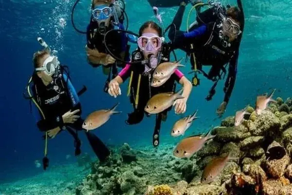 PADI Open Water Diver photo 2
