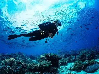 PADI Open Water Scuba Instructor photo 2