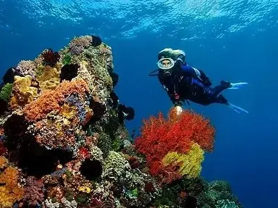 PADI Open Water Scuba Instructor photo 4