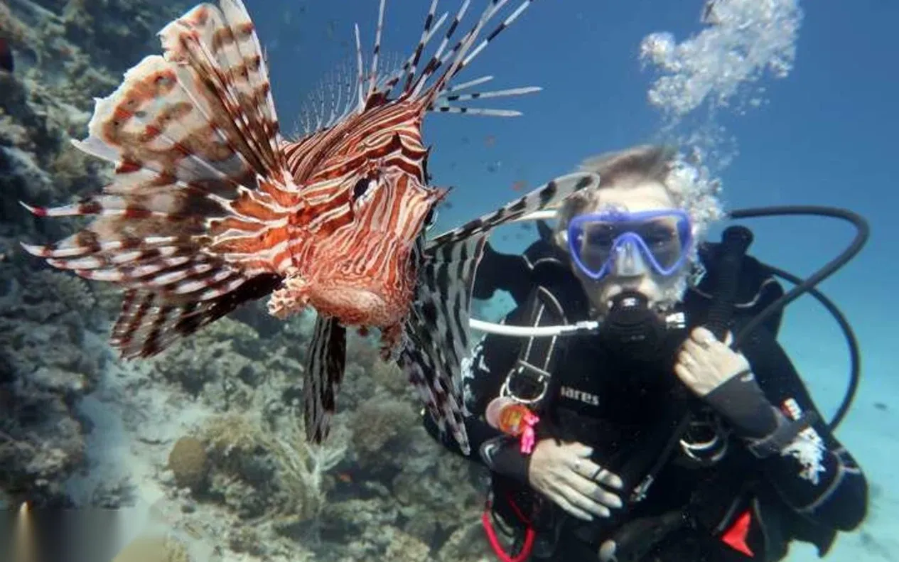 PADI Scuba Diver — view 4