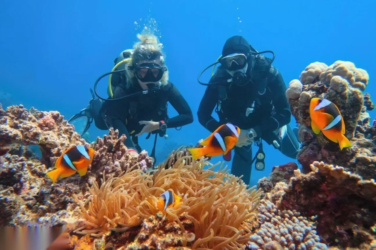 Snorkeling a Paradise Islandnál