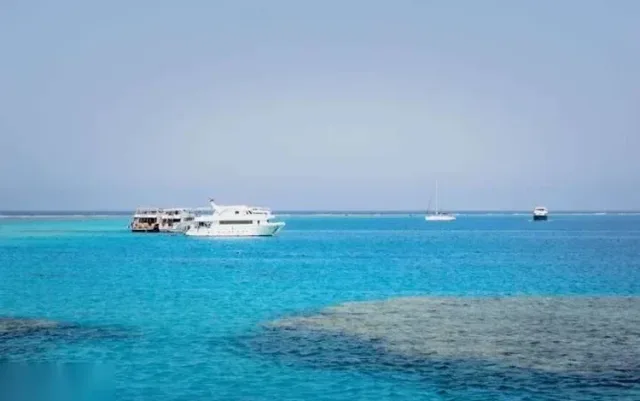 Paradise Island Snorkeling Trip