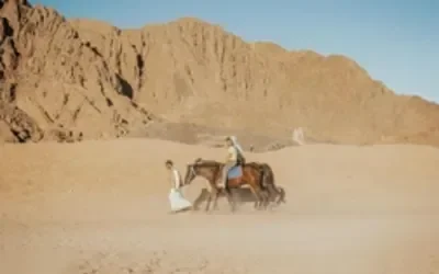 ركوب جمال خاص