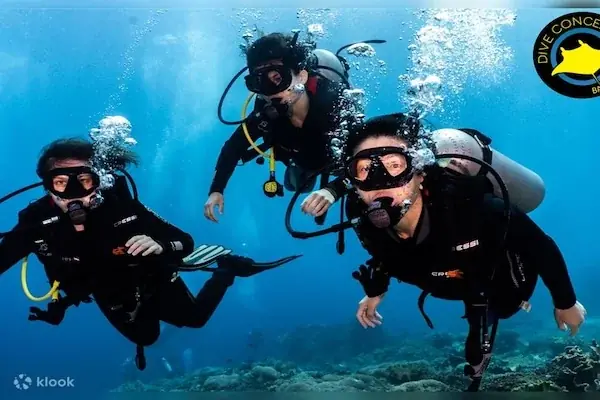 Private Diving Tour photo 3
