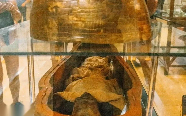 Частная полнодневная экскурсия: главные достопримечательности Каира photo 2
