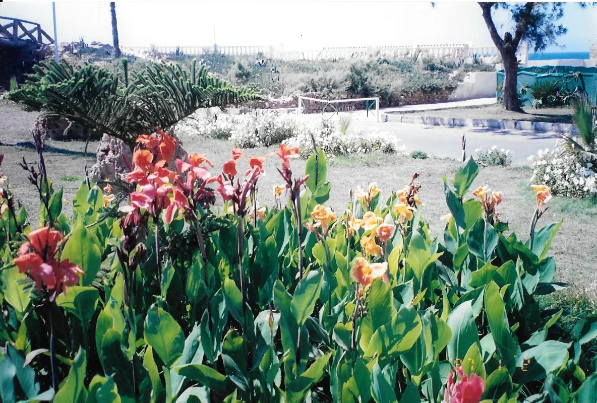 Private Montaza Palace Gardens & Abu Qir Tour photo 3