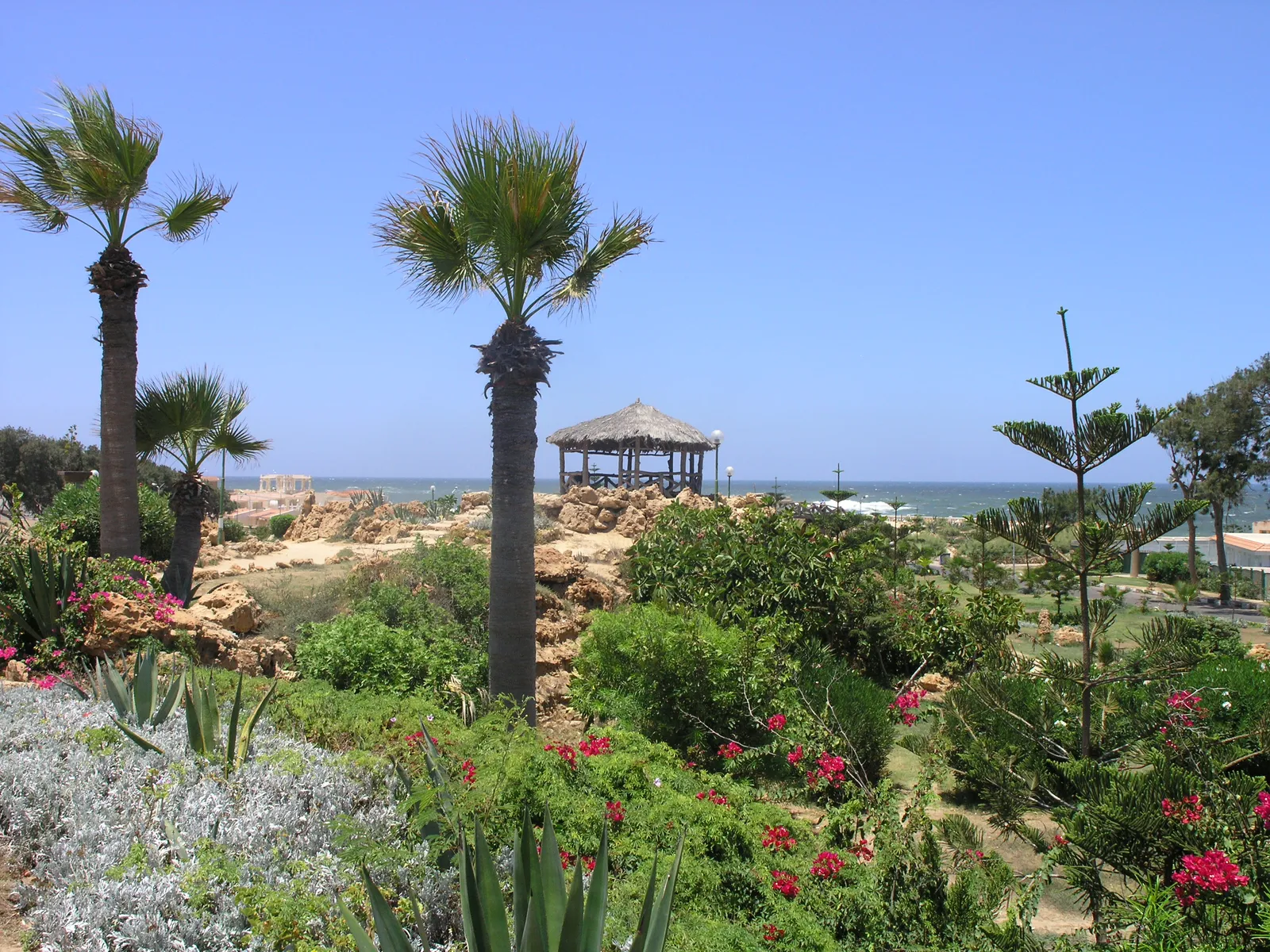 Private Montaza Palace Gardens & Abu Qir Tour photo 4