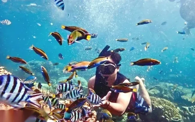 Private Snorkeling Speedboat Tour