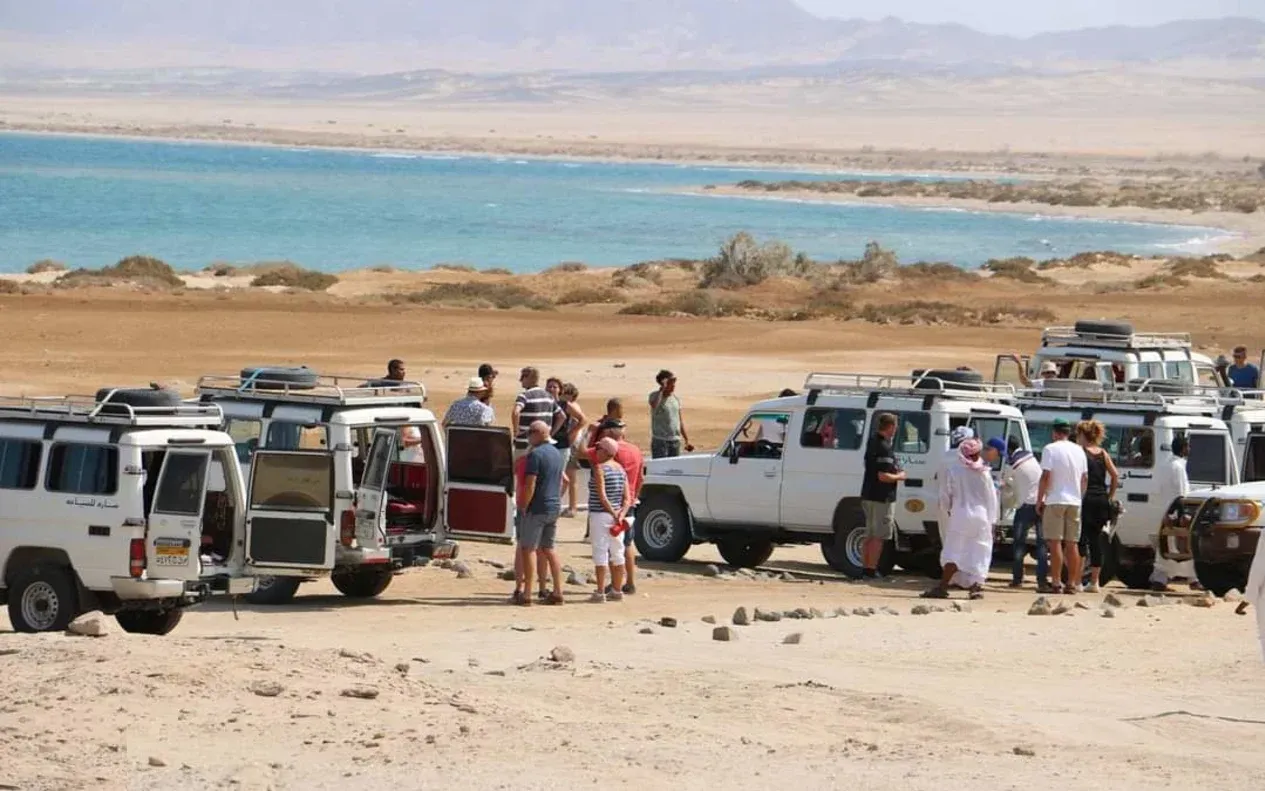 Private Wadi El Gemal National Park Safari