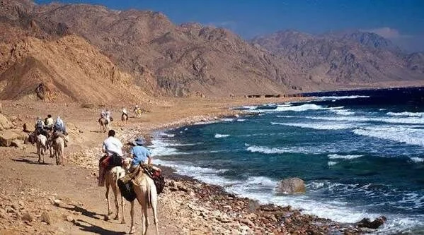 A line of tourists rides camels along a rocky coastal trail beside crashing waves, with mountains rising behind them.