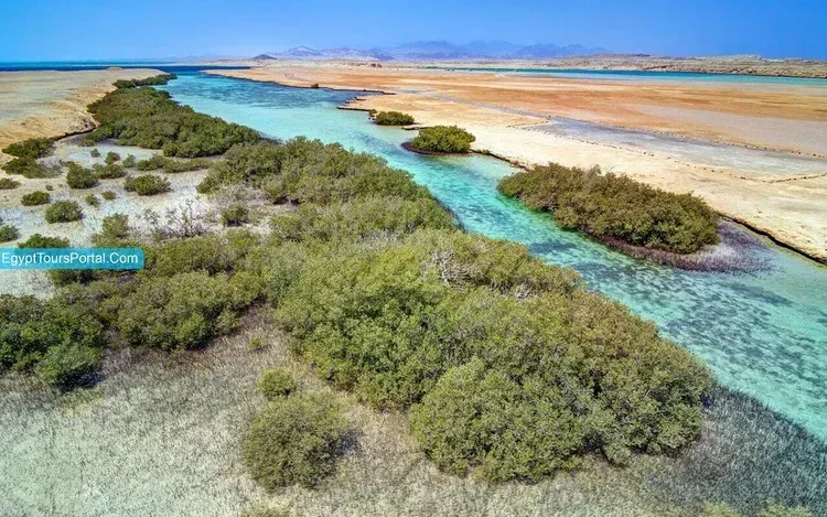 Ras Mohammed Nemzeti Park snorkelezős hajókirándulás photo 3