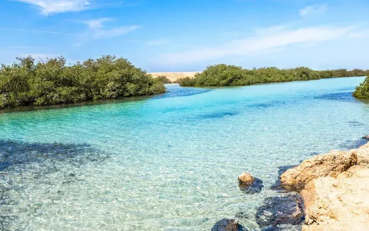 Ras Mohammed Nemzeti Park snorkelezős hajókirándulás photo 4
