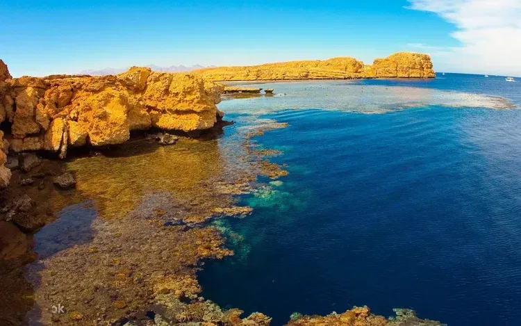 Ras Mohammed Nemzeti Park snorkelezős hajókirándulás photo 5