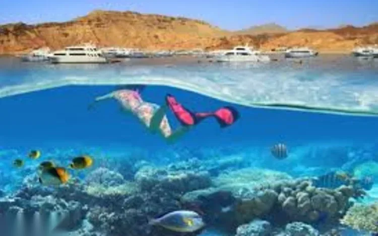 Split-level photo of a snorkeler swimming over a coral reef, with dive boats anchored on the surface above.