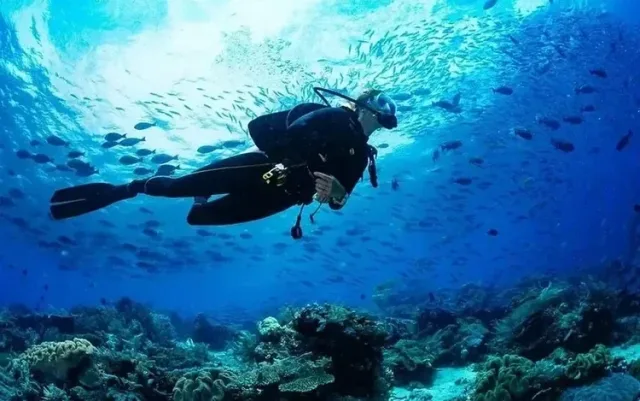 Red Sea Diving Adventure
