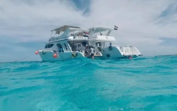 Samadai Delfin Zátony Snorkelezős Kirándulás in Marsa Alam