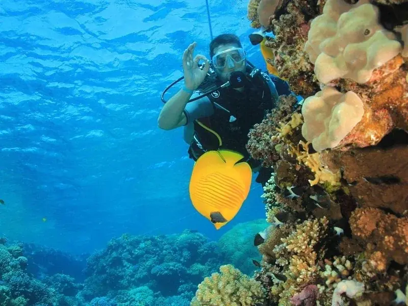 Scuba Diving Tour