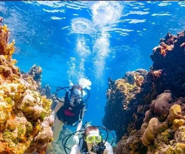 SDI Open Water Diver photo 4
