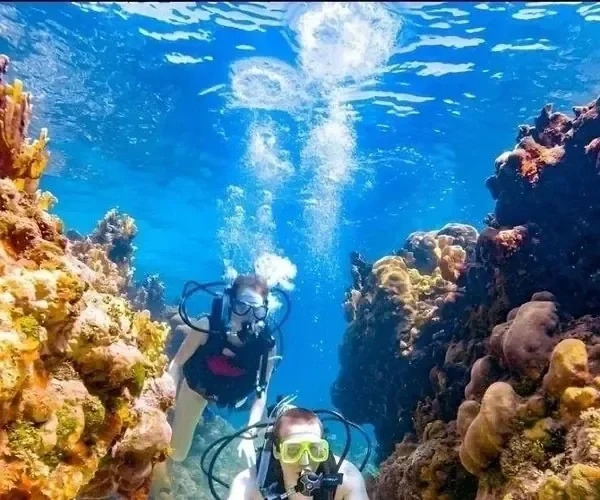 Two divers share a moment face to face in a narrow coral canyon, bubbles rising between them.