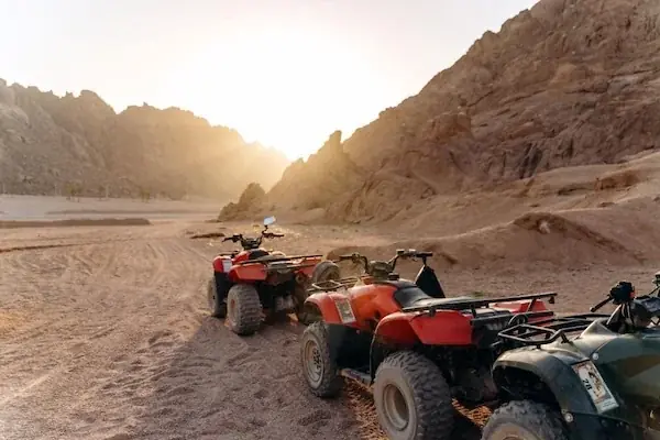 Sunset Desert Safari photo 4