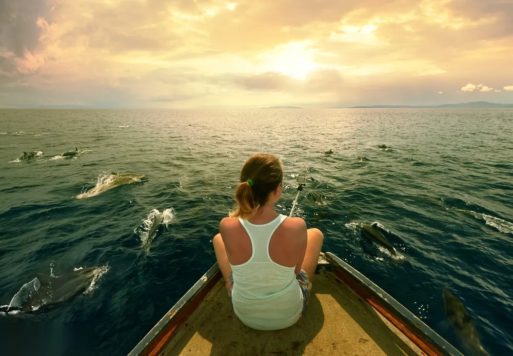 Excursion en Speedboat au Coucher du Soleil photo 4