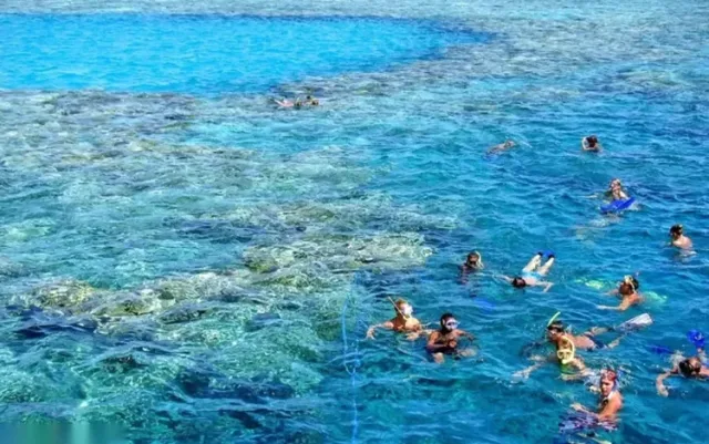Tiran Island 4-Reef Snorkeling Tour