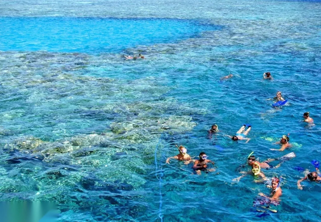 Tiran Island 4-Reef Snorkeling Tour