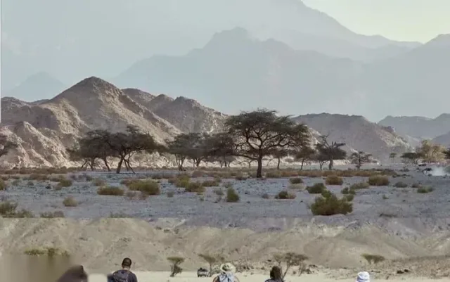 Wadi El Gemal National Park Safari — Marsa Alam, rated 4.9 on TripAdvisor
