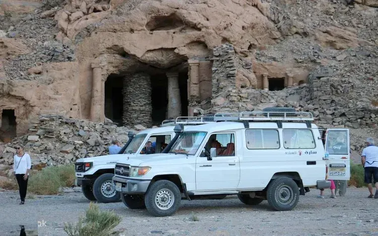 Wadi El Gemal National Park Safari photo 5