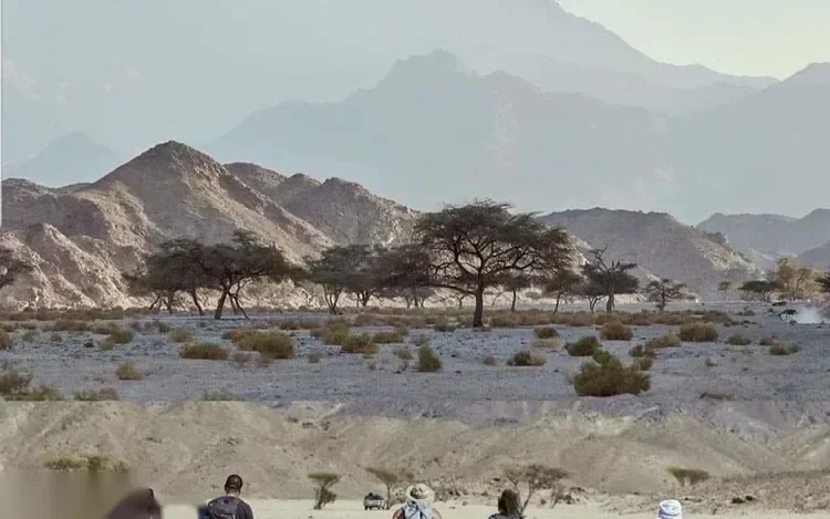 Acacia trees dotting a sandy desert plain in Wadi El Gemal with rugged mountains behind and tourists seated in the foreground