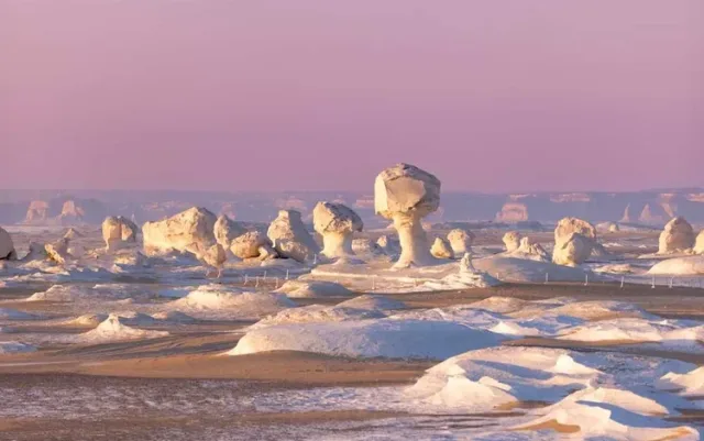 White Desert 3-Day, 2-Night Safari