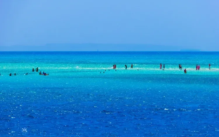White Island és Ras Mohammed kombinált hajókirándulás photo 3