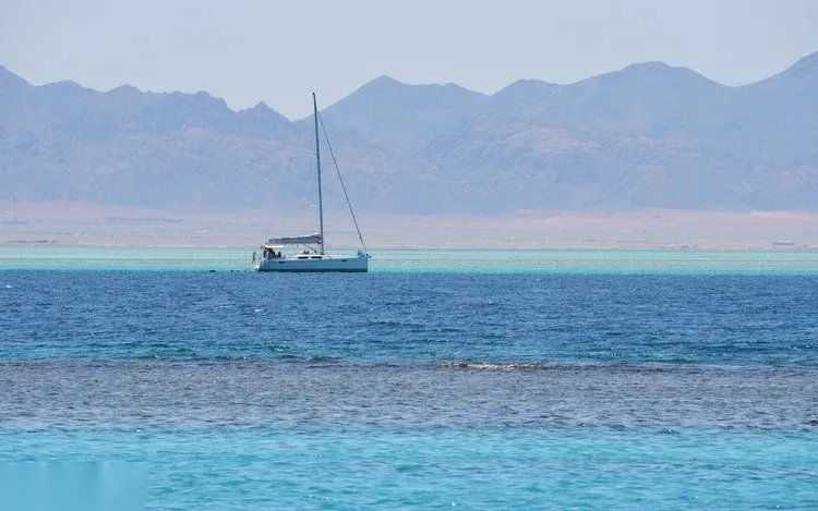 White Island és Ras Mohammed kombinált hajókirándulás photo 4