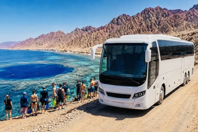 Bus transfer in Egypt
